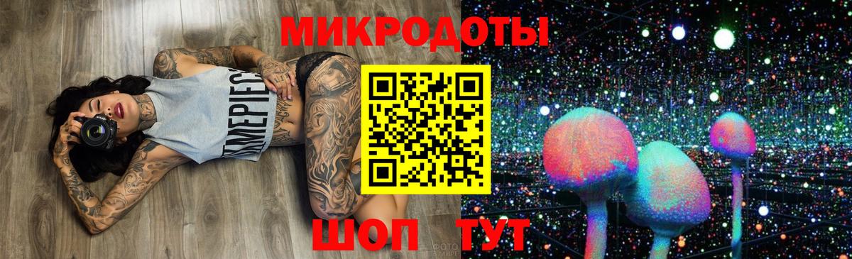 Псилоцибиновые грибы Psilocybe Куйбышев
