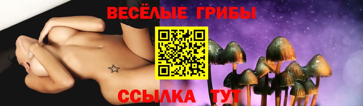 Галлюциногенные грибы MAGIC MUSHROOMS  Вход с VPN  Куйбышев 