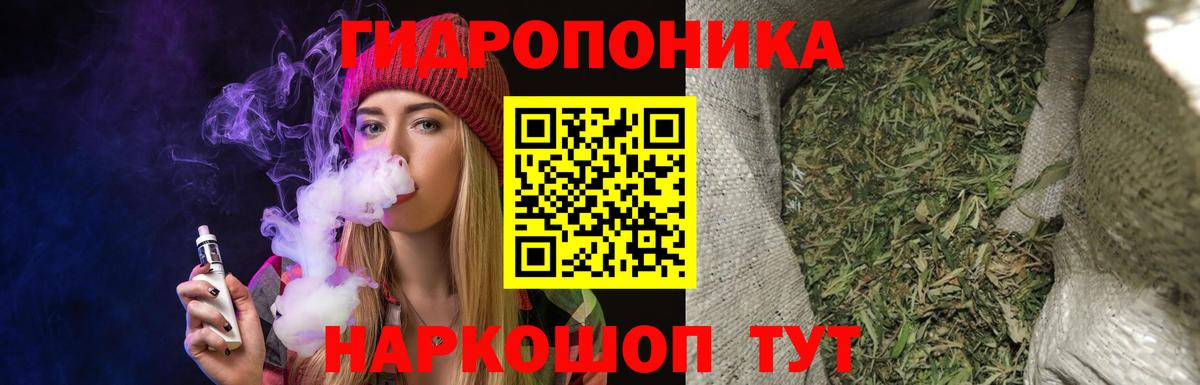 Шишки марихуана конопля Куйбышев